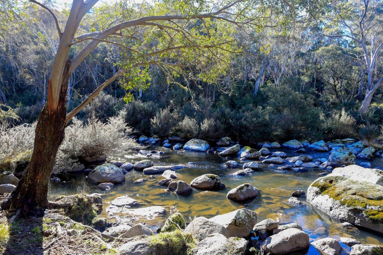 Big Yard Escapes - Two Off-Grid Tiny Houses On The Mowamba River جيندابين المظهر الخارجي الصورة