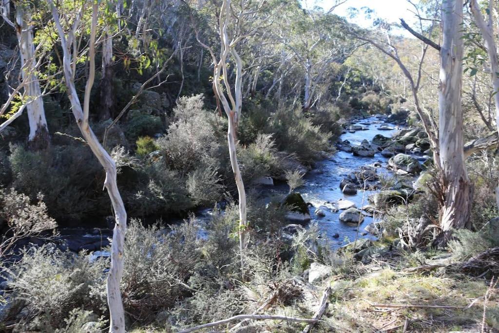 Big Yard Escapes - Two Off-Grid Tiny Houses On The Mowamba River جيندابين المظهر الخارجي الصورة