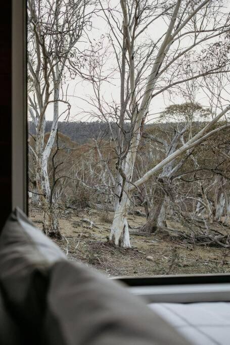 Big Yard Escapes - Two Off-Grid Tiny Houses On The Mowamba River جيندابين المظهر الخارجي الصورة