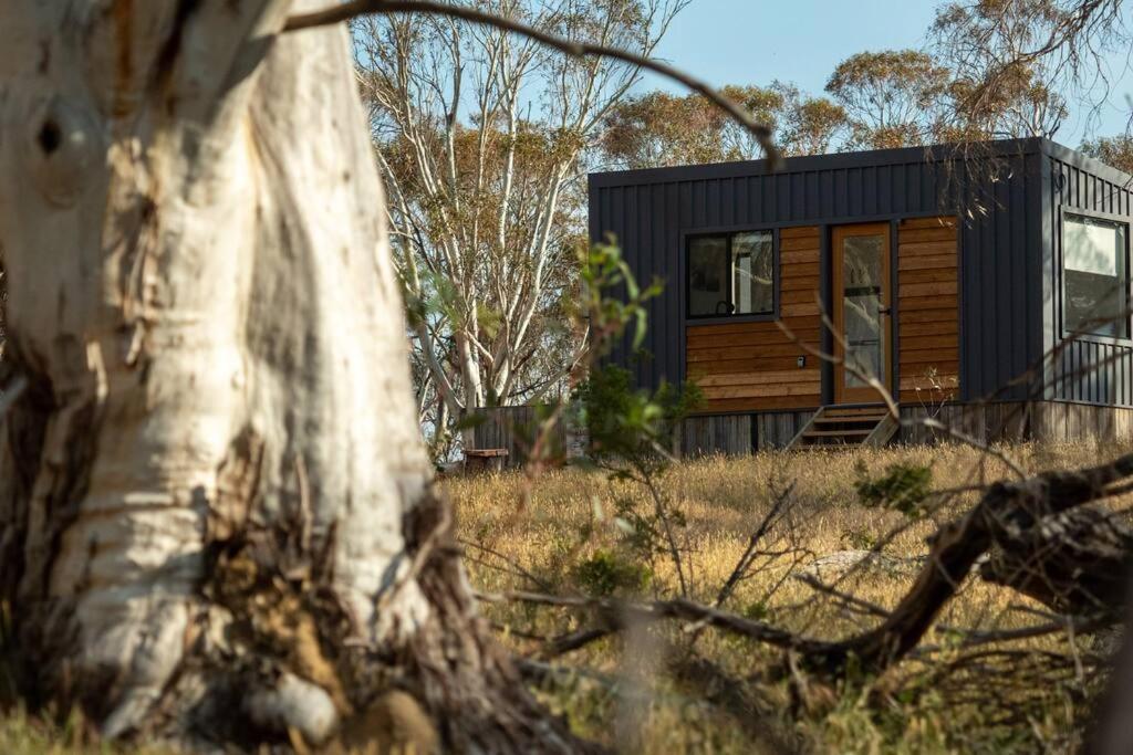 Big Yard Escapes - Two Off-Grid Tiny Houses On The Mowamba River جيندابين المظهر الخارجي الصورة